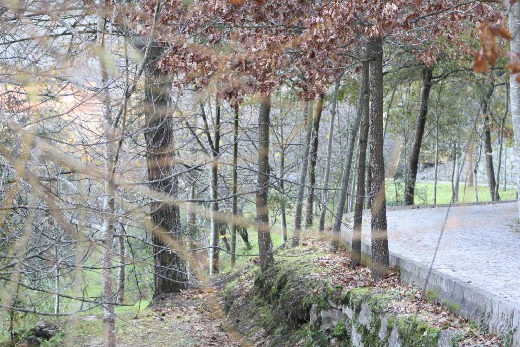 Quinta De Santa Cruz Hotel Canelas  Zewnętrze zdjęcie